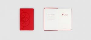 colomee-case-notizbuch-clue